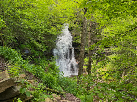 Ganoga Falls is the tallest waterfall at Ricketts Glen State Park.