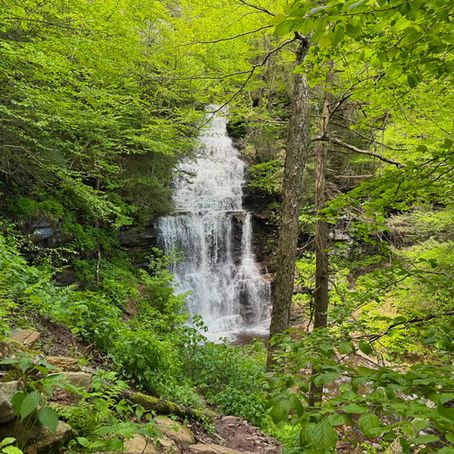 Ganoga Falls is the tallest waterfall at Ricketts Glen State Park.