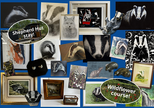 Auction collage for site (1).png
