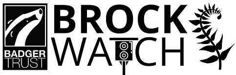 Brockwatch option 1 (1).png