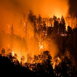 Kaderübung Waldbrand 2025