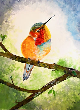 Hummingbird 2.JPEG