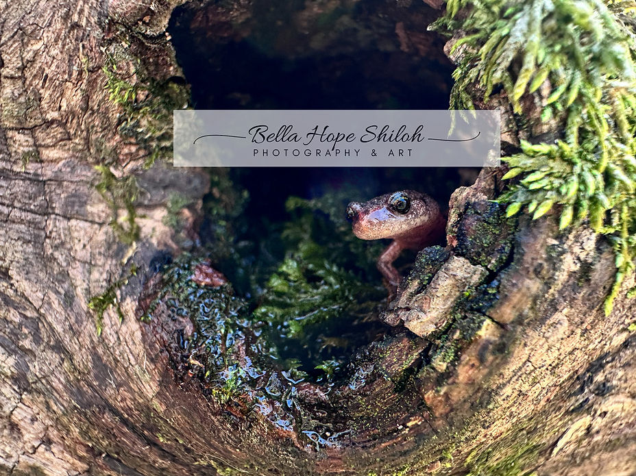 6C94E2A1-E84E-4FAA-AAE2-C393768061FA_edi