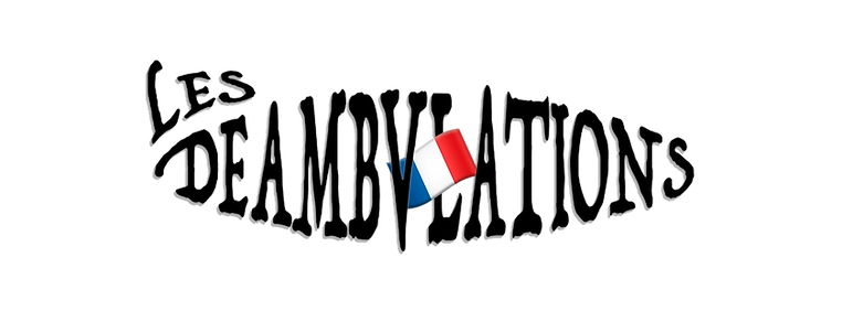 D_FLLAG_FR.png