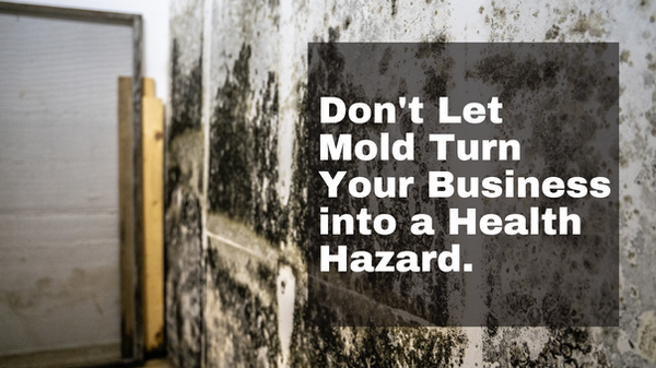 webiste banner_commercial mold.png