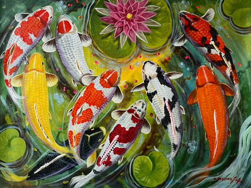 Lucky Koi Fish | Omniana