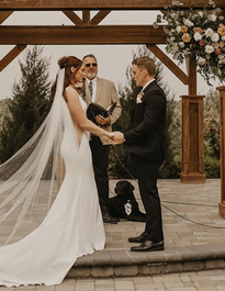 Tallgrass Kennels black male british lab calm at a wedding ceremony
