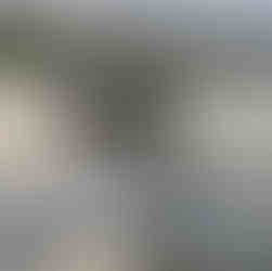 Athletic tallgrass kennels british labrador jumping over waves in the ocean