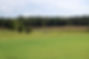 Robert Clair man walking british labradors in a peaceful green field by pond at Tallgrass Kennels