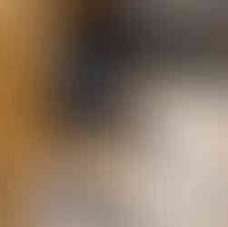 yellow Tallgrass British lab puppy curled up asleep in kitchen with German Shepherd