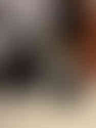 Black female adult British lab and British lab puppy from Tallgrass Kennels