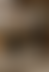 Tallgrass Kennels black male british labrador sitting calmly at wedding ceremony