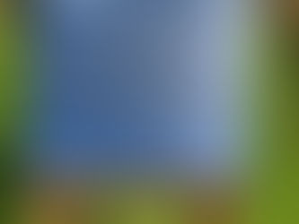 Captured by Holy Island