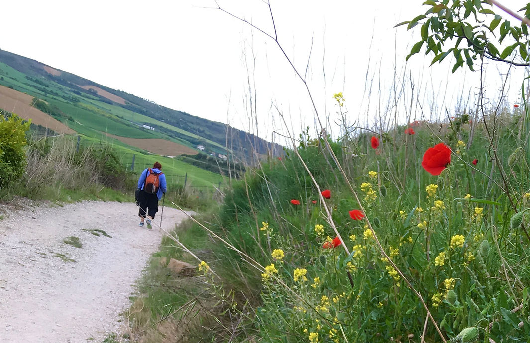 Image of someone walking on a trail outside the city