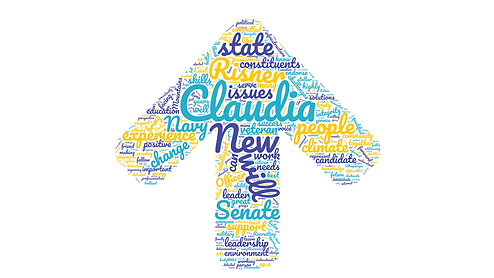 risnerwordcloud (2).png arrow.png