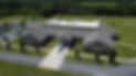 1000011947.jpg