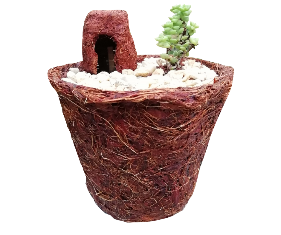 Miniatura: Maceta biodegradable