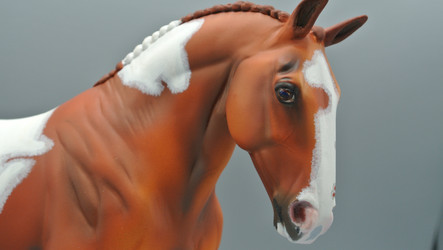 Tobiano Warmblood X