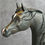 Thumbnail: TR Seal Bay Arabian