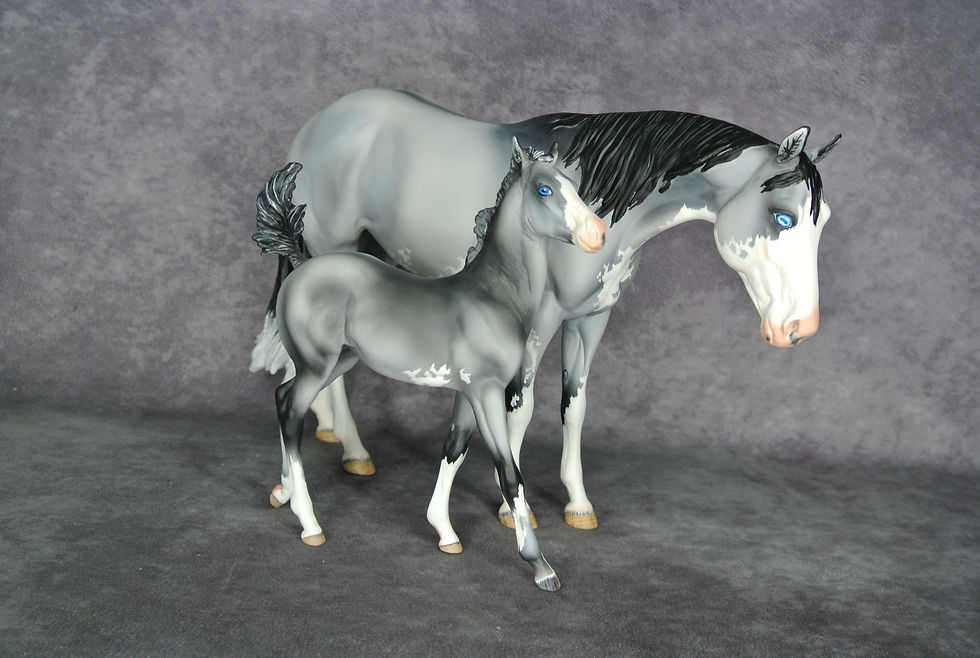 Final KSL Mare&Foal-1