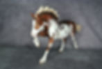Thumbnail: TR Flaxen Welsh Cob