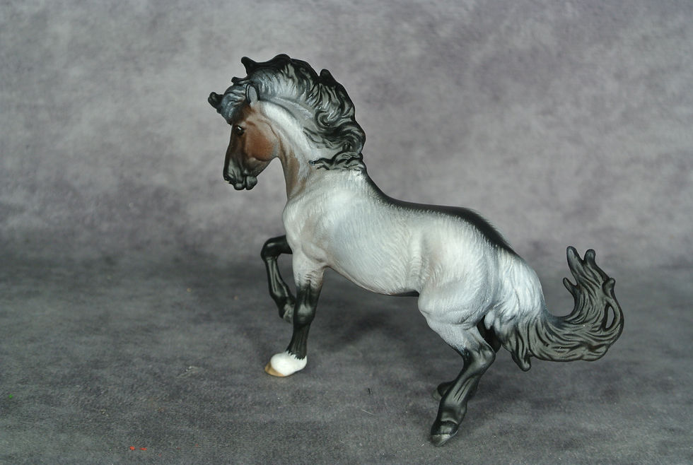 Thumbnail: SM Bay Roan Stallion