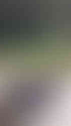 Pergola PergoNova antracyt z osłonami ZIP SCREEN na tarasie ogrodowym z grillem