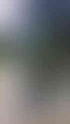 Pergola PergoNova antracyt z osłonami ZIP SCREEN na tarasie ogrodowym z grillem