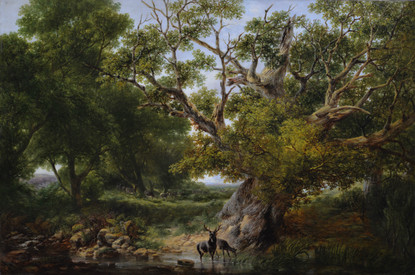 'Grazing Deer in Summertime'