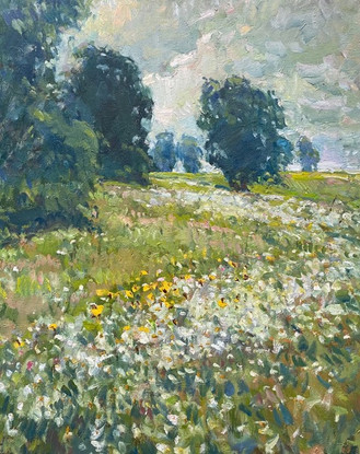 'Summer Meadow Flowers'