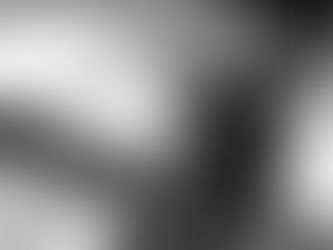 🌿 365 giorni per tornare a casa