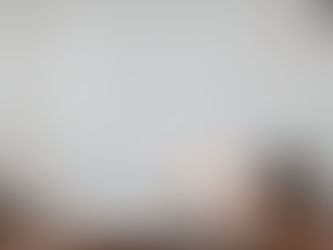 Giorno 11 · Domenica (–355)