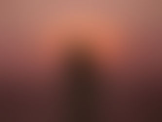 Imparare a vivere il paradosso