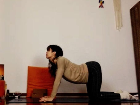 Yin Yoga LIVE - 23 dic 2020