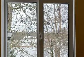 Picture Windows.webp