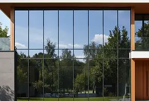 Tinted_Reflective Windows.webp