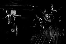 Festival Ososphère, 2013. Strasbourg