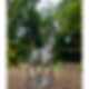Metal Giraffe