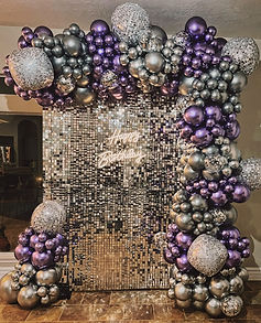 Shimmer Backdrop Rental