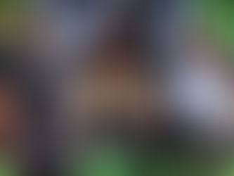 Ambulance Film Review