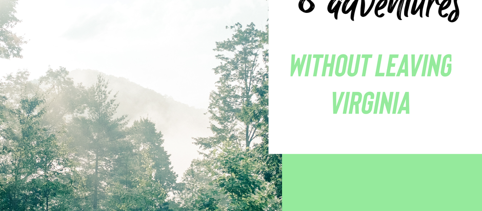 Summer Bucket list ideas: 8 adventures without leaving Virginia