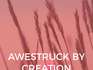 Awestruck by creation