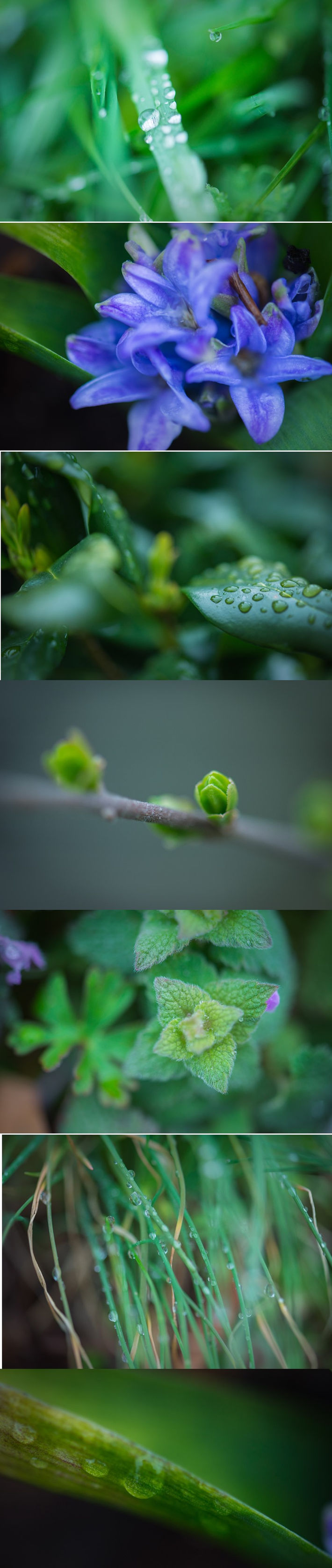 Spring has come again!