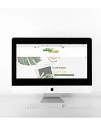 Studio-Project (37).webp