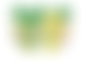 True Lemon Seasoning