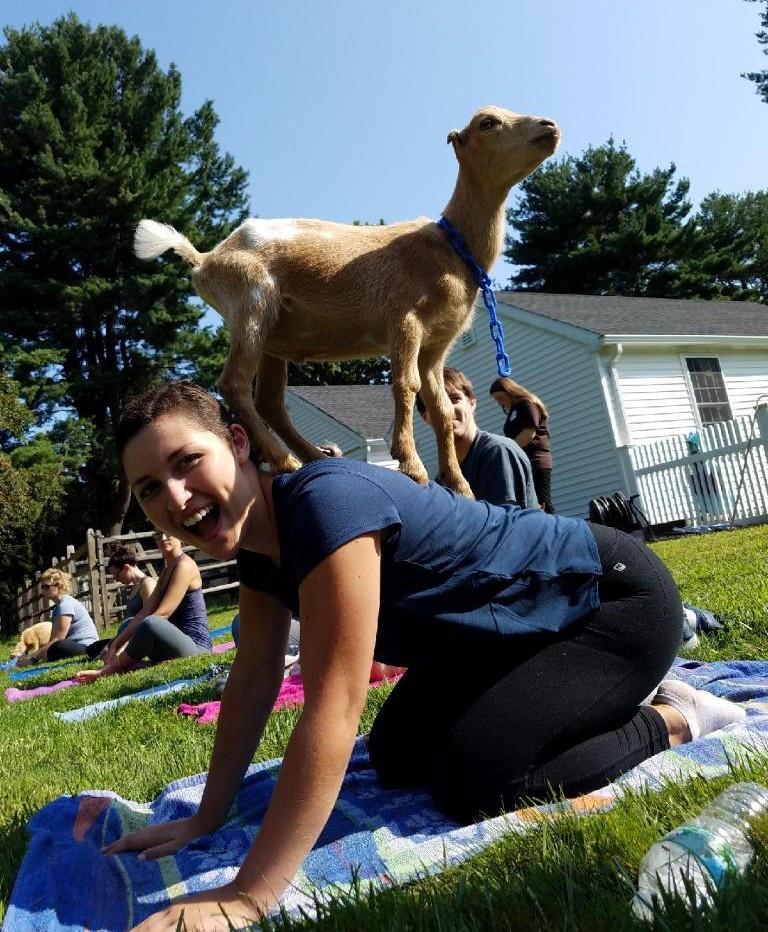 gabby_balancing_goat.jpg