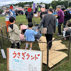 遠江国分寺まつり　うさぎランド