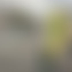 夏の交通安全週間