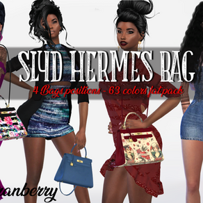 SLYD Hermes Bag Recolor