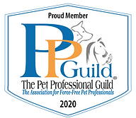 PPG Member Badge 2020_white with tag blu